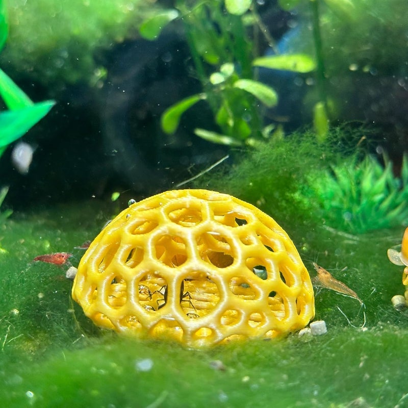 CTWPets Store Shrimp Dome Hide - Aquarium Cherry Shrimp Hide - Cherry Shimpe Hide (Black) - Image 2